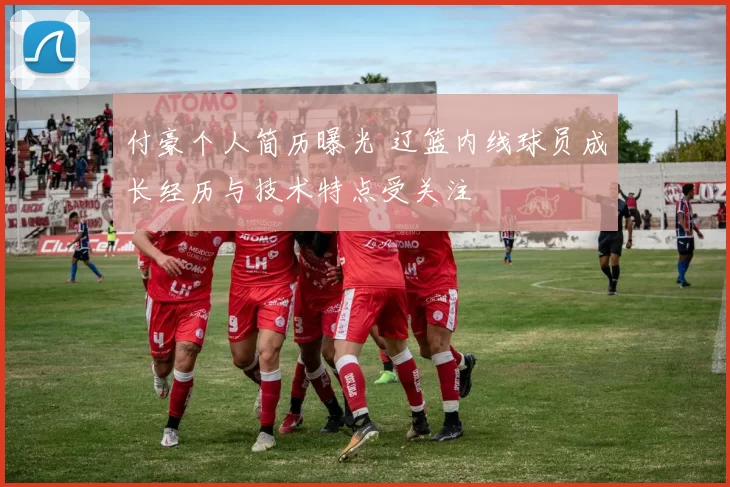 付豪个人简历曝光 辽篮内线球员成长经历与技术特点受关注