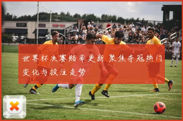 世界杯决赛赔率更新 聚焦夺冠热门变化与投注走势