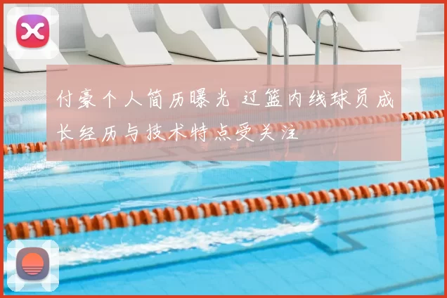 付豪个人简历曝光 辽篮内线球员成长经历与技术特点受关注